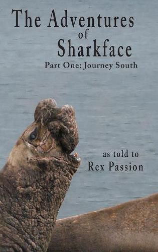 Cover image for The Adventures of Sharkface