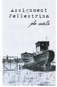 Cover image for Assignment Pellestrina