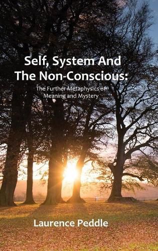 Cover image for Self, System and the Non-Conscious: The Further Metaphysics of Meaning and Mystery