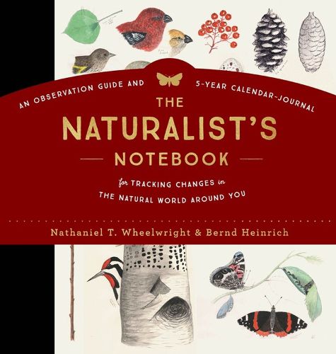 Cover image for The Naturalist's Notebook: An Observation Guide and 5-Year Calendar-Journal for Tracking Changes in the Natural World Around Us