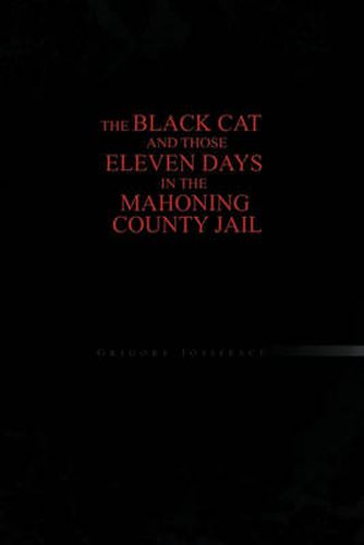 Cover image for The Black Cat and Those Eleven Days in the Mahoning County Jail