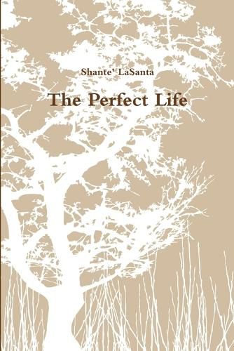 Cover image for The Perfect Life