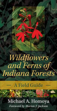 Cover image for Wildflowers and Ferns of Indiana Forests: A Field Guide