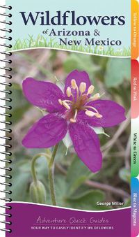 Cover image for Wildflowers of Arizona & New Mexico: Your Way to Easily Identify Wildflowers