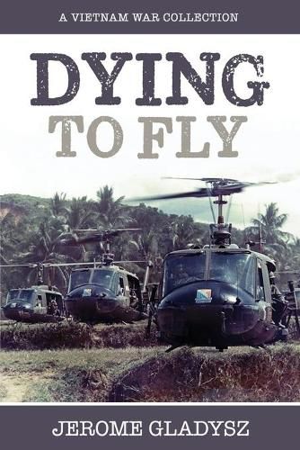 Cover image for Dying to Fly