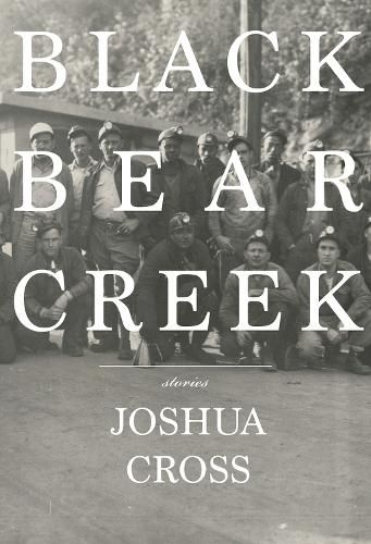 Cover image for Black Bear Creek