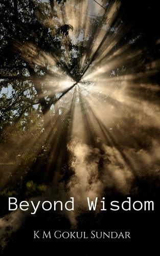 Cover image for Beyond Wisdom