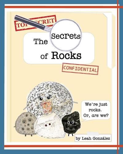 Cover image for The Secrets of Rocks