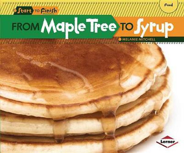 From Maple Tree to Syrup