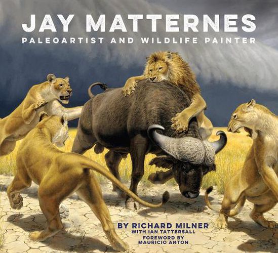 Cover image for Jay Matternes