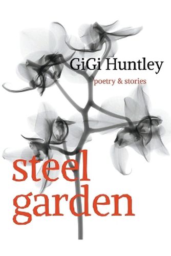 Cover image for Steel Garden