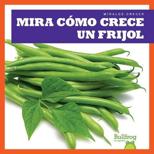 Cover image for Mira Como Crece Un Frijol (Watch a Bean Grow)
