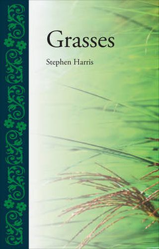 Cover image for Grasses