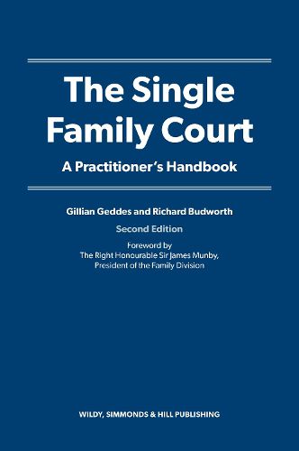 Cover image for The Single Family Court: A Practitioner's Handbook