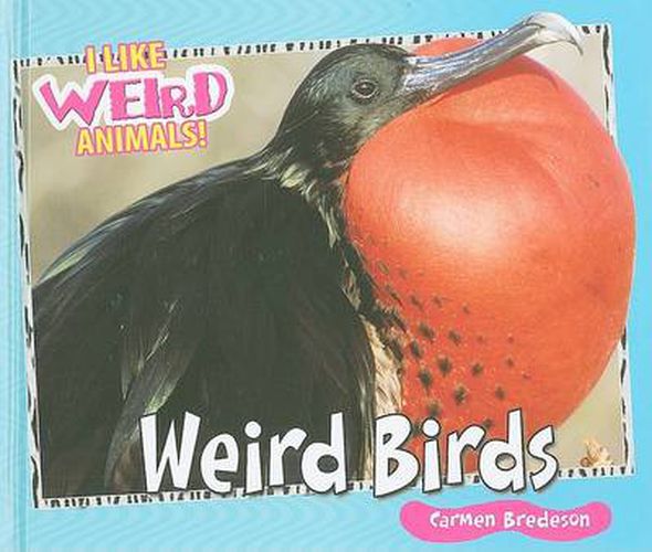 Weird Birds