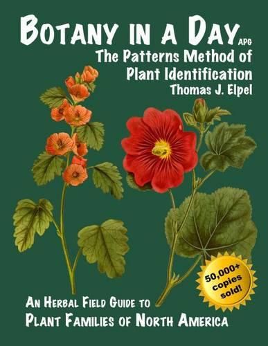 Cover image for Botany in a Day: The Patterns Method of Plant Identification