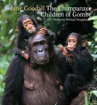 Cover image for Chimpanzee Children of Gombe, The