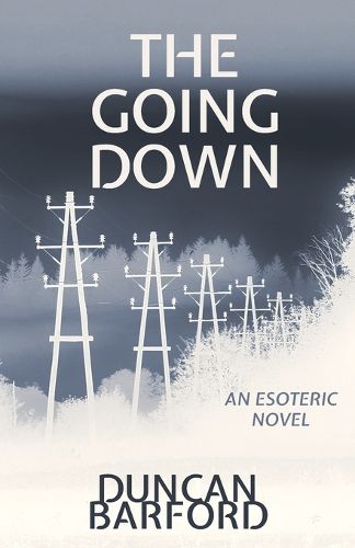 Cover image for The Going Down