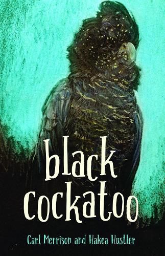 Black Cockatoo