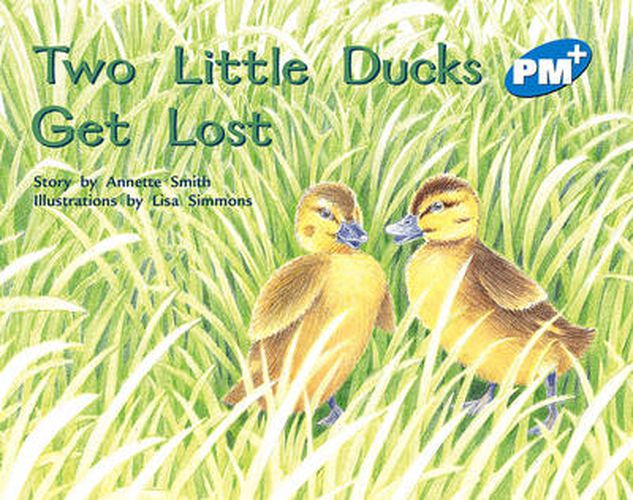 Two Little Ducks Get Lost