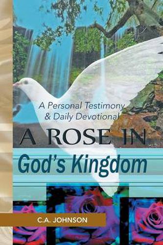 Cover image for A Rose in God's Kingdom: A Personal Testimony & Daily Devotional