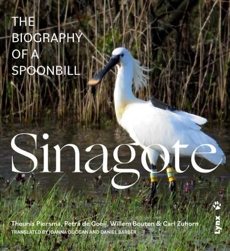 Cover image for Sinagote, the biography of a spoonbill