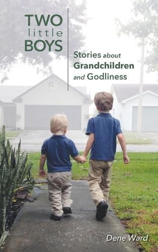 Cover image for Two Little Boys: Stories about Grandchildren and Godliness