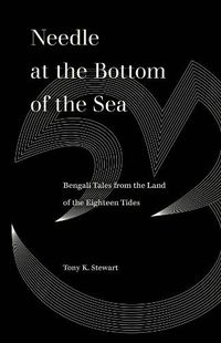 Cover image for Needle at the Bottom of the Sea