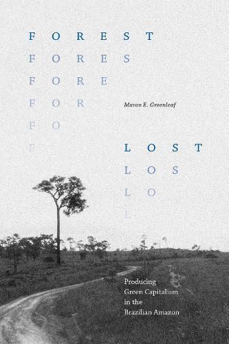 Cover image for Forest Lost