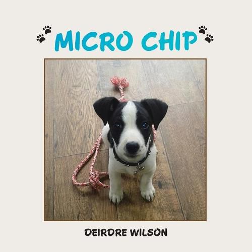 Cover image for Micro Chip