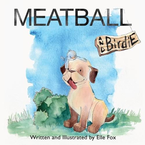 Cover image for Meatball and Birdie