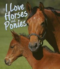 Cover image for I Love Horses and Ponies
