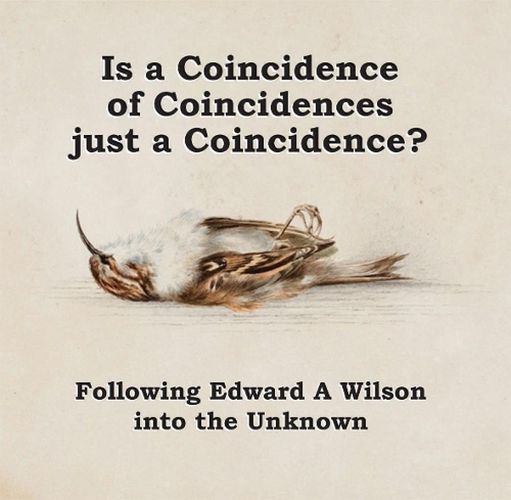 Is a Coincidence of Coincidences just a Coincidence? Following Edward A Wilson into the Unknown