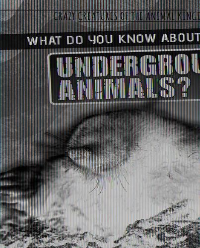 Cover image for What Do You Know about Underground Animals?