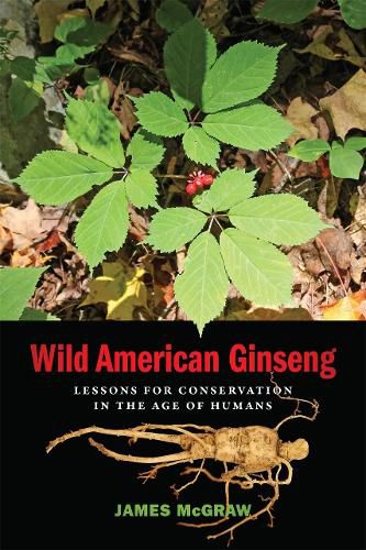 Cover image for Wild American Ginseng: Lessons for Conservation in the Age of Humans