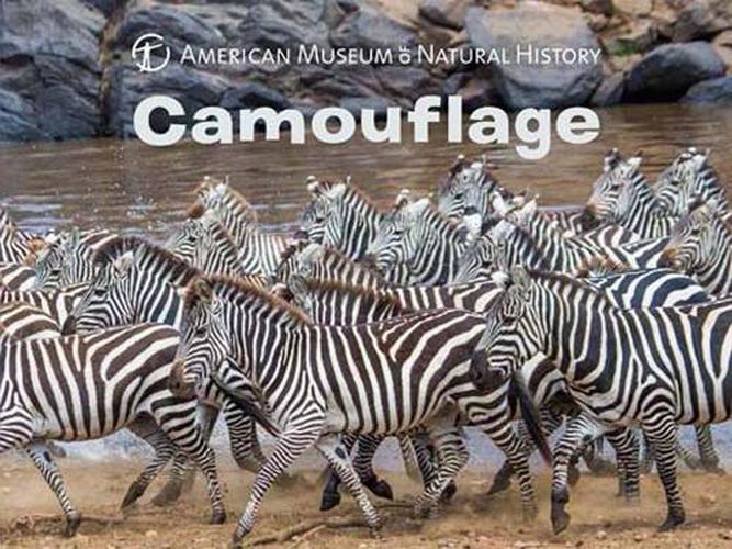 Cover image for Camouflage