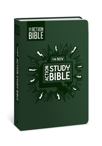 Cover image for NIV Action Study Bible, Leathersoft, Forest, Full Color
