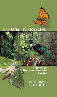 Cover image for Weta To Kauri: Child Guide/Nz Fore