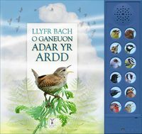 Cover image for LLYFR BACH O GANEUON ADAR YR ARDD: The Little Book of Garden Bird Songs (Welsh edition)