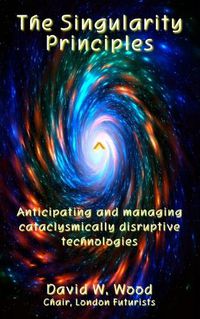 Cover image for The Singularity Principles: Anticipating and managing cataclysmically disruptive technologies