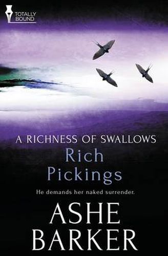 Cover image for A Richness of Swallows: Rich Pickings