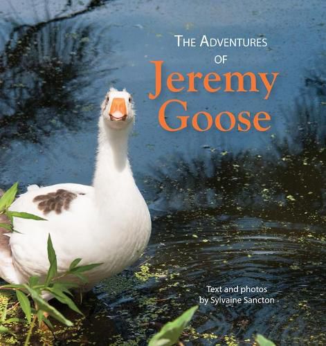 Cover image for The Adventures of Jeremy Goose