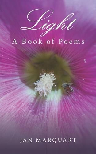 Cover image for Light, a Book of Poems