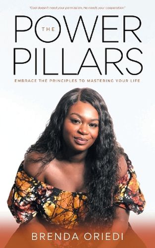 Cover image for The Power Pillars