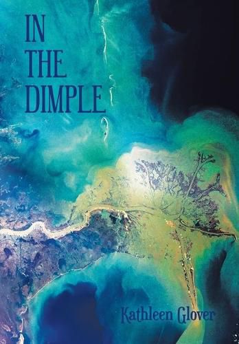 Cover image for In the Dimple