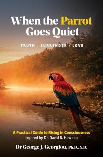 Cover image for When the Parrot Goes Quiet
