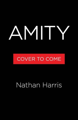 Cover image for Amity
