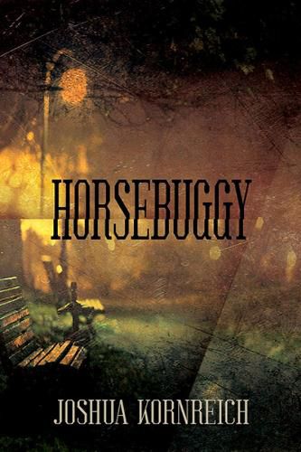 Cover image for Horsebuggy
