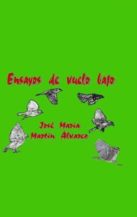 Cover image for Ensayos de vuelo bajo