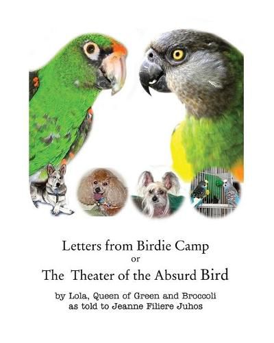 Cover image for Letters from Birdie Camp: The Theater of the Absurd Bird